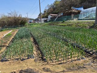 Kns4324님의 자유주제 · 자유게시판 작성글 사진
