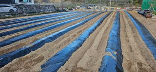 최연재님의 자유주제 · 자유게시판 작성글 사진