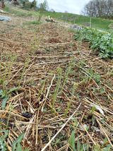 좋은인연원님의 자유주제·자유게시판 작성글 사진