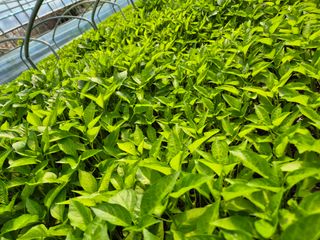 김영진(전남영광)님의 자유주제 · 자유게시판 작성글 사진