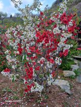 김재열님의 자유주제·자유게시판 작성글 사진