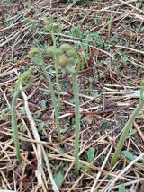 좋은인연원님의 자유주제·자유게시판 작성글 사진