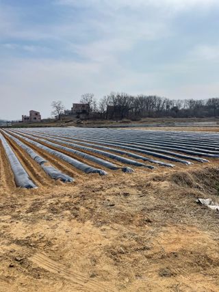 허주회님의 자유주제 · 자유게시판 작성글 사진