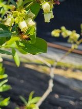 김동만님의 자유주제·자유게시판 작성글 사진