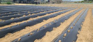 정진해님의 자유주제 · 자유게시판 작성글 사진