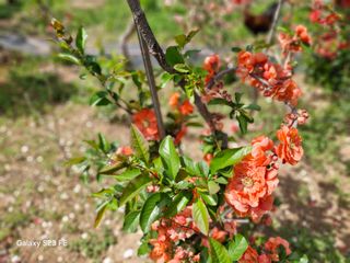 김재열님의 자유주제 · 자유게시판 작성글 사진