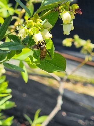 김동만님의 자유주제 · 자유게시판 작성글 사진