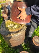 비타민님의 자유주제·자유게시판 작성글 사진