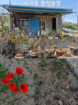 Kns4324님의 자유주제 · 자유게시판 작성글 사진