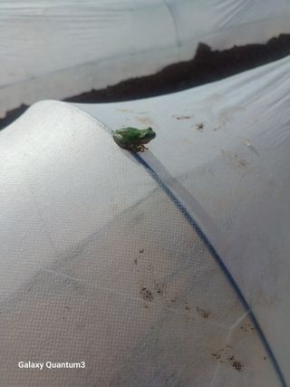 이창우님의 자유주제 · 자유게시판 작성글 사진