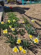 팜모닝 자유주제·자유게시판 게시글 이미지