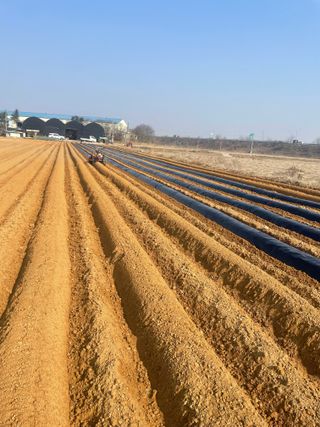 허주회님의 자유주제 · 자유게시판 작성글 사진