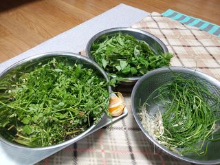 이현상님의 자유주제 · 자유게시판 작성글 사진