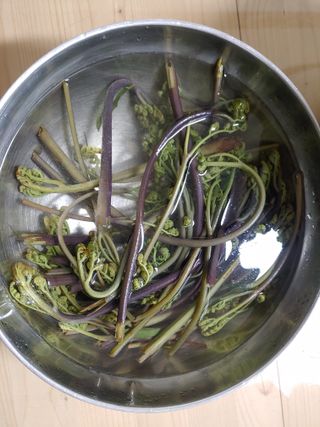 이현상님의 자유주제·자유게시판 작성글 사진