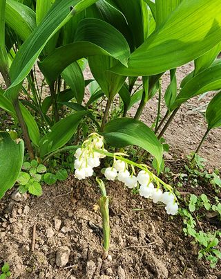 고추건조기부품님의 자유주제 · 자유게시판 작성글 사진
