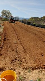 박순덕님의 자유주제·자유게시판 작성글 사진