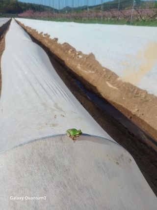 이창우님의 자유주제 · 자유게시판 작성글 사진