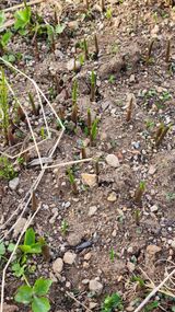 팜모닝 자유주제·자유게시판 게시글 이미지