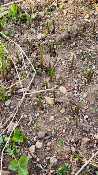 고추건조기부품님의 자유주제 · 자유게시판 작성글 사진