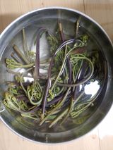 팜모닝 자유주제·자유게시판 게시글 이미지