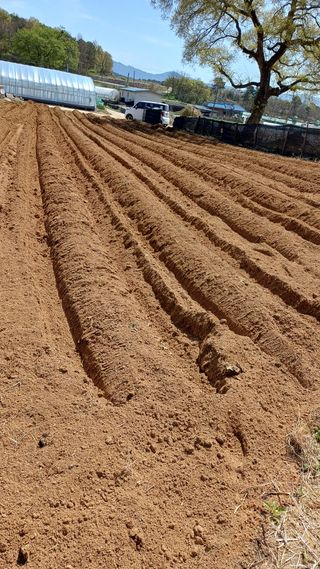 박순덕님의 자유주제 · 자유게시판 작성글 사진