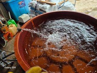 사천시향촌동 돼지띠님의 자유주제 · 자유게시판 작성글 사진