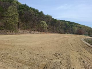 김민정님의 자유주제 · 자유게시판 작성글 사진