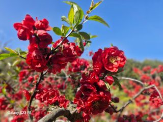 김재열님의 자유주제 · 자유게시판 작성글 사진