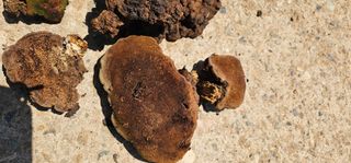 박희철님의 자유주제 · 자유게시판 작성글 사진