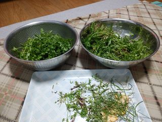 이현상님의 자유주제 · 자유게시판 작성글 사진