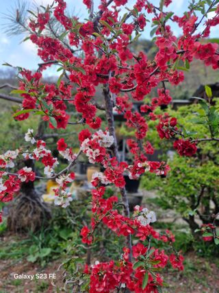 김재열님의 자유주제 · 자유게시판 작성글 사진