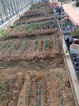 팜모닝 자유주제·자유게시판 게시글 이미지