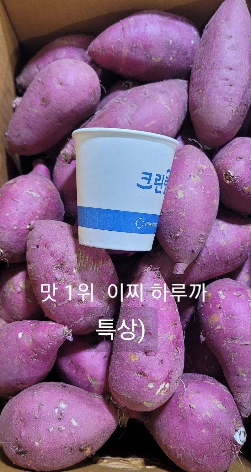 장터 상품 [꿀 고구마 이찌 하루까1kg(맛 1위)] 썸네일