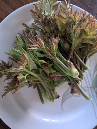 전희분님의 자유주제 · 자유게시판 작성글 사진