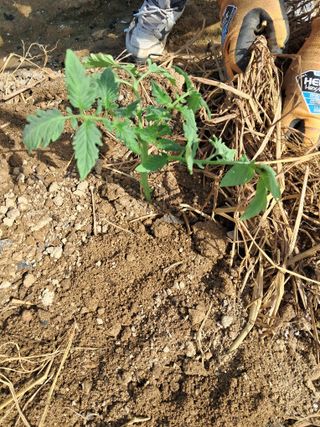 전희분님의 자유주제 · 자유게시판 작성글 사진