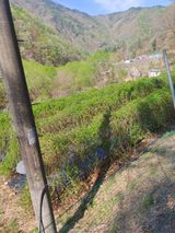 이식현님의 자유주제·자유게시판 작성글 사진