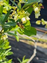 김동만님의 자유주제·자유게시판 작성글 사진