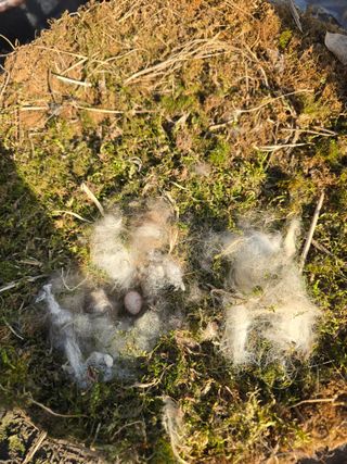 비타민님의 자유주제 · 자유게시판 작성글 사진