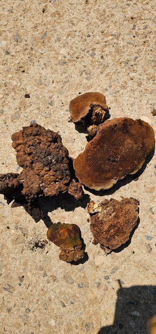 박희철님의 자유주제 · 자유게시판 작성글 사진