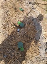 전희분님의 자유주제·자유게시판 작성글 사진