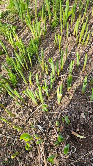 고추건조기부품님의 자유주제 · 자유게시판 작성글 사진