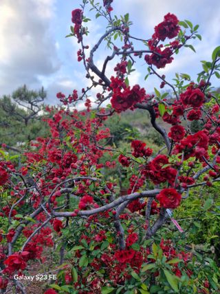 김재열님의 자유주제 · 자유게시판 작성글 사진