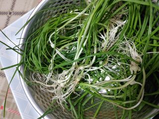 이현상홍길동건강즙님의 자유주제 · 자유게시판 작성글 사진