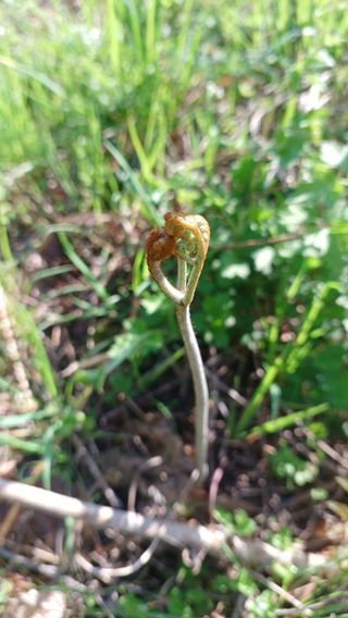 산골촌부님의 자유주제 · 자유게시판 작성글 사진