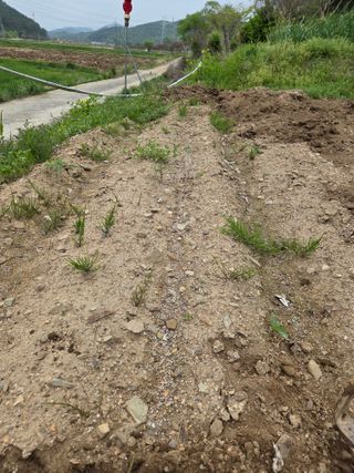 농촌사랑님의 자유주제 · 자유게시판 작성글 사진