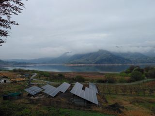 별빛농장지기님의 자유주제 · 자유게시판 작성글 사진