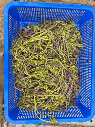 매미농장님의 자유주제 · 자유게시판 작성글 사진