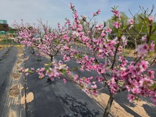 포도15264님의 자유주제 · 자유게시판 작성글 사진