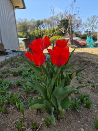 Kns4324님의 자유주제 · 자유게시판 작성글 사진
