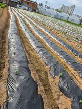 김동현님의 자유주제·자유게시판 작성글 사진